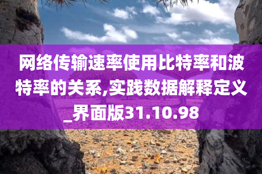 网络传输速率使用比特率和波特率的关系,实践数据解释定义_界面版31.10.98