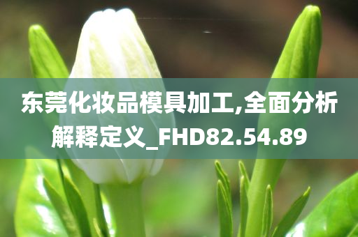 东莞化妆品模具加工,全面分析解释定义_FHD82.54.89