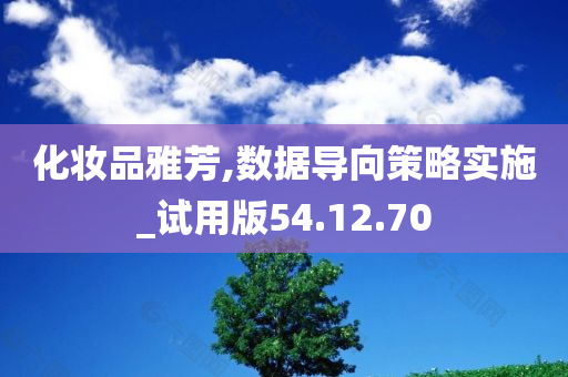 化妆品雅芳,数据导向策略实施_试用版54.12.70