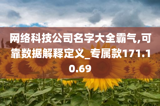 网络科技公司名字大全霸气,可靠数据解释定义_专属款171.10.69