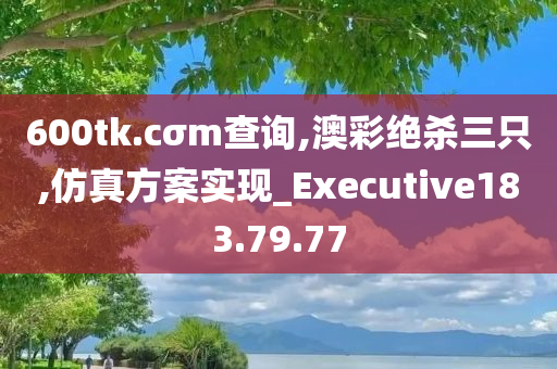 600tk.cσm查询,澳彩绝杀三只,仿真方案实现_Executive183.79.77