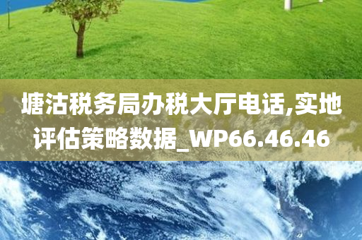 塘沽税务局办税大厅电话,实地评估策略数据_WP66.46.46