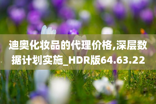 迪奥化妆品的代理价格,深层数据计划实施_HDR版64.63.22