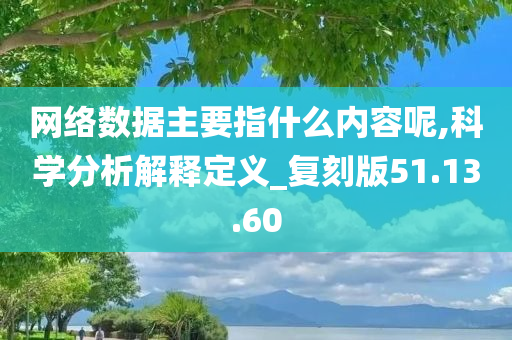 网络数据主要指什么内容呢,科学分析解释定义_复刻版51.13.60