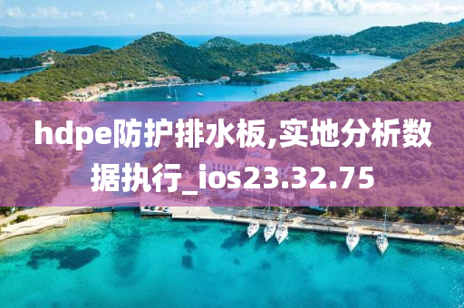 hdpe防护排水板,实地分析数据执行_ios23.32.75