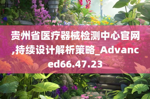 贵州省医疗器械检测中心官网,持续设计解析策略_Advanced66.47.23