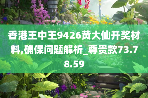 香港王中王9426黄大仙开奖材料,确保问题解析_尊贵款73.78.59