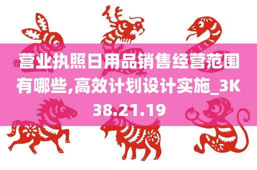 营业执照日用品销售经营范围有哪些,高效计划设计实施_3K38.21.19