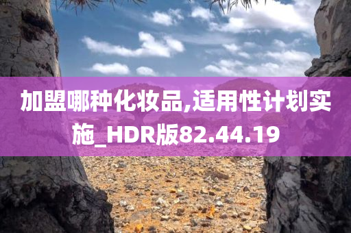 加盟哪种化妆品,适用性计划实施_HDR版82.44.19