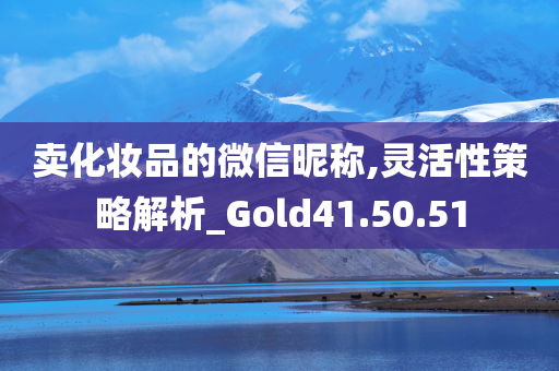 卖化妆品的微信昵称,灵活性策略解析_Gold41.50.51