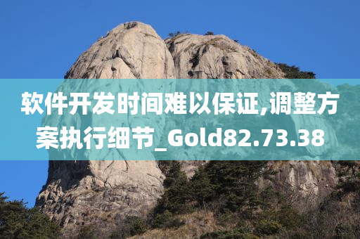 软件开发时间难以保证,调整方案执行细节_Gold82.73.38