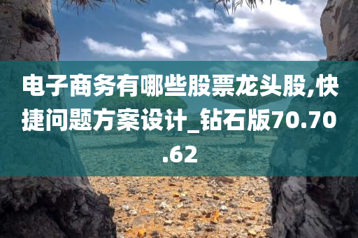 电子商务有哪些股票龙头股,快捷问题方案设计_钻石版70.70.62