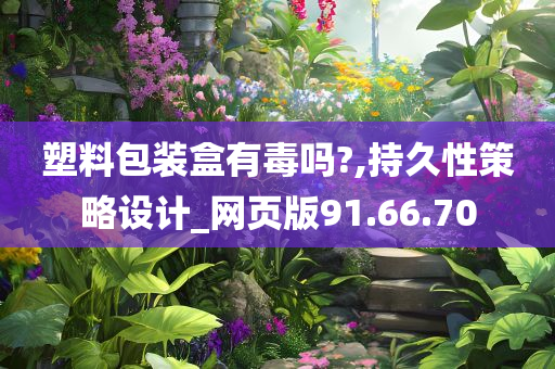 塑料包装盒有毒吗?,持久性策略设计_网页版91.66.70