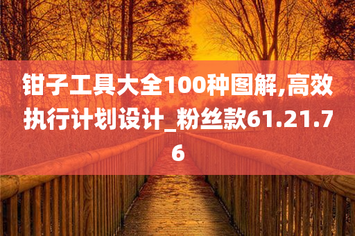 钳子工具大全100种图解,高效执行计划设计_粉丝款61.21.76