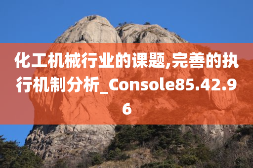 化工机械行业的课题,完善的执行机制分析_Console85.42.96