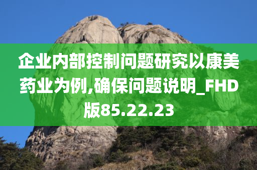 企业内部控制问题研究以康美药业为例,确保问题说明_FHD版85.22.23