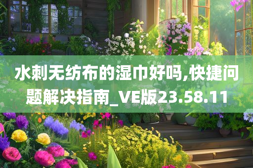 水刺无纺布的湿巾好吗,快捷问题解决指南_VE版23.58.11