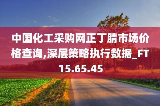 中国化工采购网正丁腈市场价格查询,深层策略执行数据_FT15.65.45