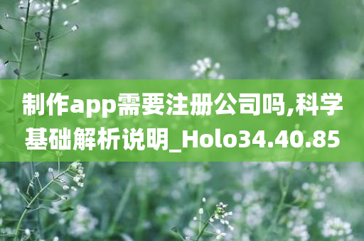 制作app需要注册公司吗,科学基础解析说明_Holo34.40.85