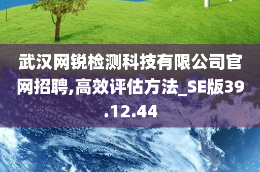 武汉网锐检测科技有限公司官网招聘,高效评估方法_SE版39.12.44