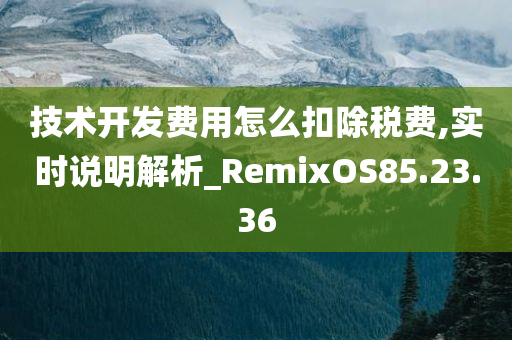 技术开发费用怎么扣除税费,实时说明解析_RemixOS85.23.36