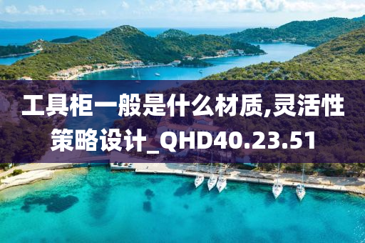 工具柜一般是什么材质,灵活性策略设计_QHD40.23.51