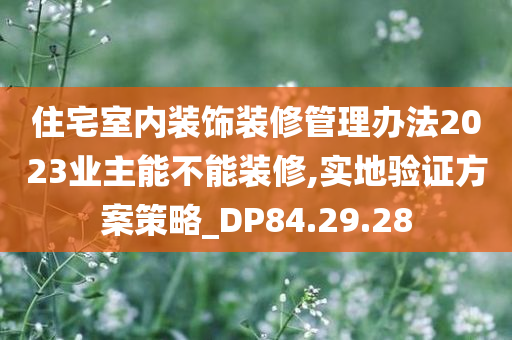 住宅室内装饰装修管理办法2023业主能不能装修,实地验证方案策略_DP84.29.28