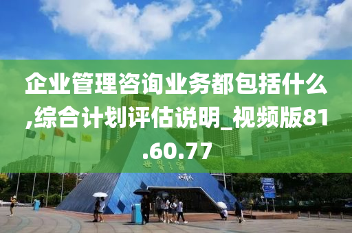 企业管理咨询业务都包括什么,综合计划评估说明_视频版81.60.77