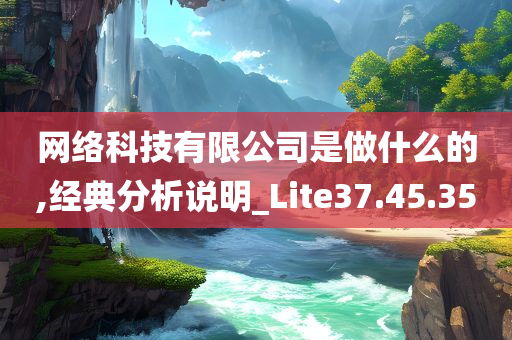 网络科技有限公司是做什么的,经典分析说明_Lite37.45.35