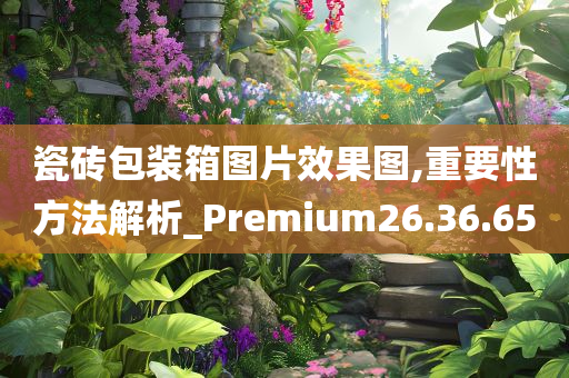 瓷砖包装箱图片效果图,重要性方法解析_Premium26.36.65