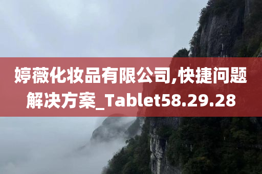 婷薇化妆品有限公司,快捷问题解决方案_Tablet58.29.28