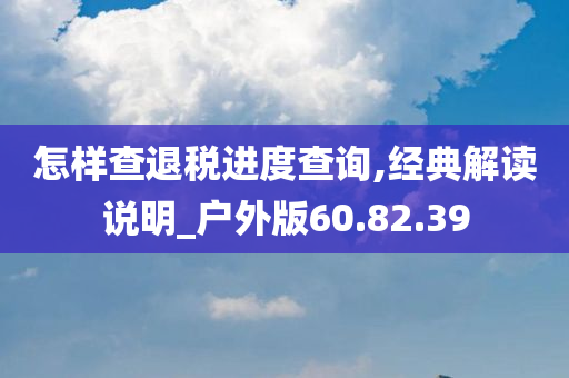 怎样查退税进度查询,经典解读说明_户外版60.82.39