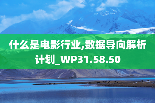 什么是电影行业,数据导向解析计划_WP31.58.50