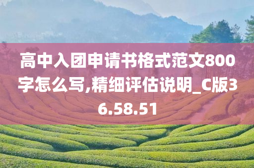 高中入团申请书格式范文800字怎么写,精细评估说明_C版36.58.51