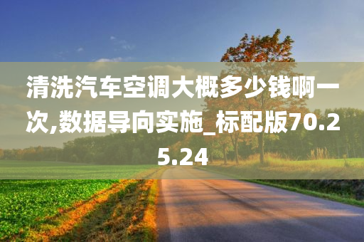 清洗汽车空调大概多少钱啊一次,数据导向实施_标配版70.25.24