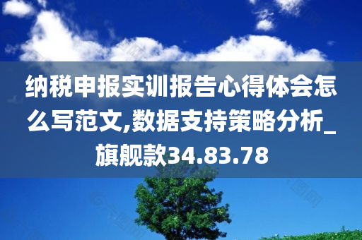 纳税申报实训报告心得体会怎么写范文,数据支持策略分析_旗舰款34.83.78