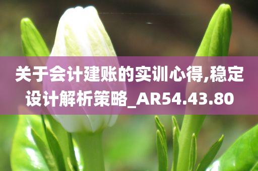 关于会计建账的实训心得,稳定设计解析策略_AR54.43.80