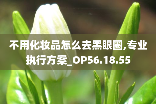 不用化妆品怎么去黑眼圈,专业执行方案_OP56.18.55