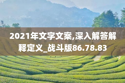 2021年文字文案,深入解答解释定义_战斗版86.78.83