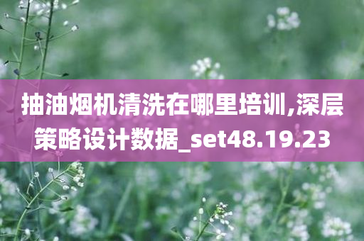 抽油烟机清洗在哪里培训,深层策略设计数据_set48.19.23