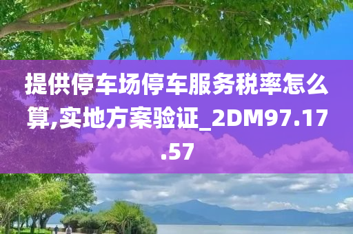 提供停车场停车服务税率怎么算,实地方案验证_2DM97.17.57