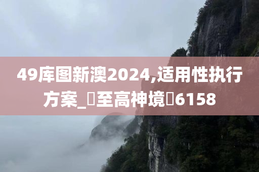 49库图新澳2024,适用性执行方案_‌至高神境‌6158