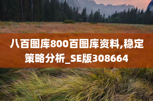 八百图库800百图库资料,稳定策略分析_SE版308664