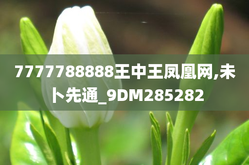 7777788888王中王凤凰网,未卜先通_9DM285282