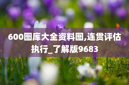 600图库大全资料图,连贯评估执行_了解版9683