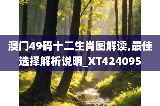 澳门49码十二生肖图解读,最佳选择解析说明_XT424095