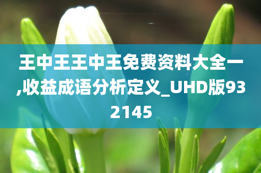 王中王王中王免费资料大全一,收益成语分析定义_UHD版932145