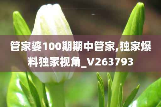 管家婆100期期中管家,独家爆料独家视角_V263793