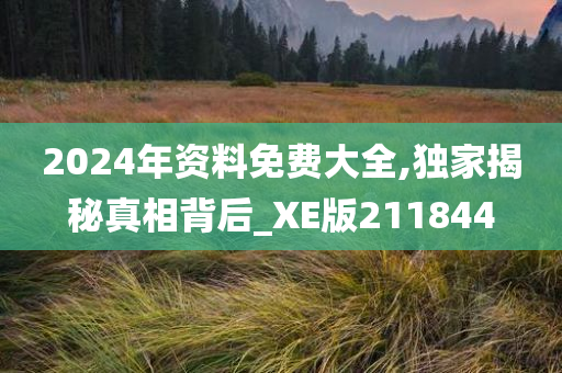 2024年资料免费大全,独家揭秘真相背后_XE版211844