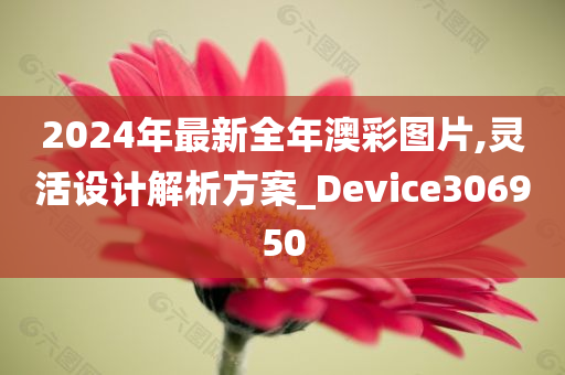 2024年最新全年澳彩图片,灵活设计解析方案_Device306950